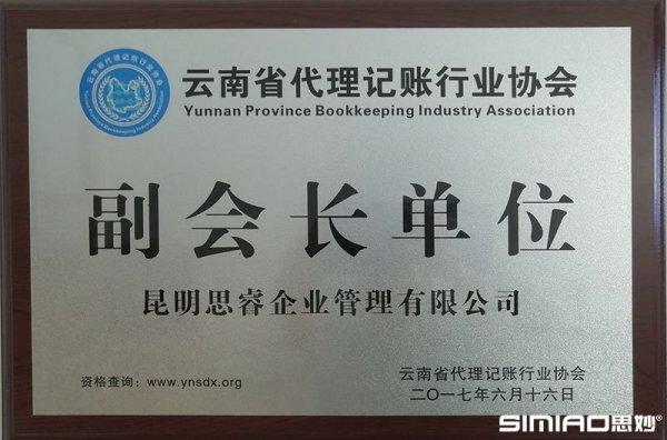 云南省代理记账行业协会副会长单位